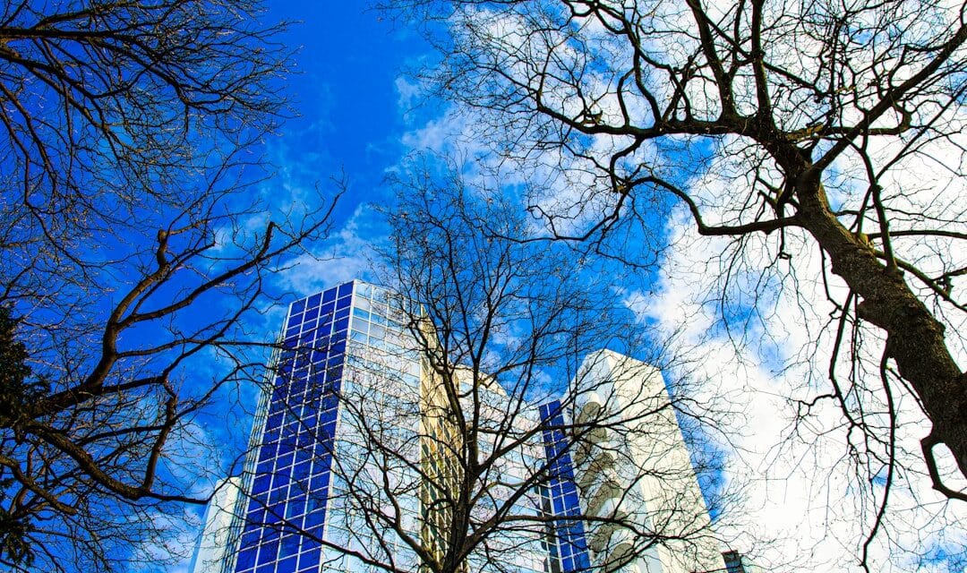 Emerging Trends in Technology Leadership Coaching