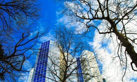 Emerging Trends in Technology Leadership Coaching