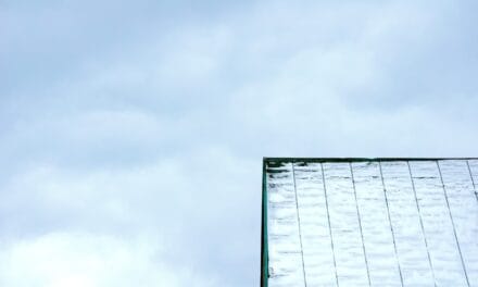 Essential Coaching for Executives in Tech