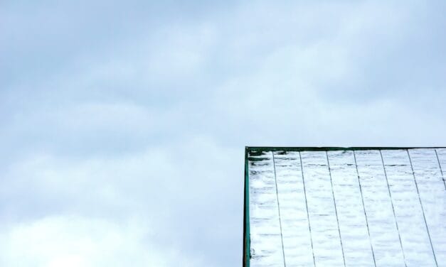 Essential Coaching for Executives in Tech