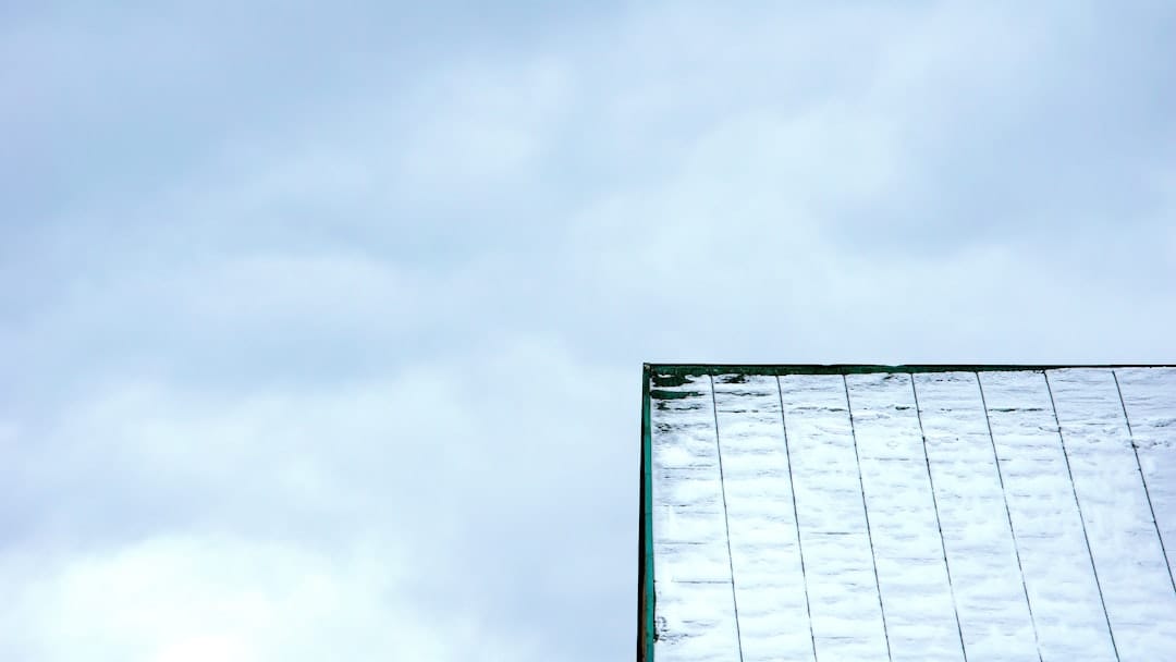 Essential Coaching for Executives in Tech