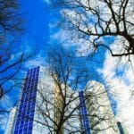 Transformative Leadership Techniques for Tech Challenges